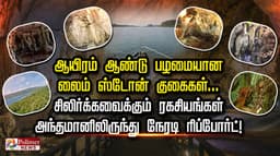 ஆயிரம் ஆண்டு பழமையான லைம் ஸ்டோன் குகைகள்... சிலிர்க்கவைக்கும் ரகசியங்கள்... அந்தமானிலிருந்து நேரடி ரிப்போர்ட்!