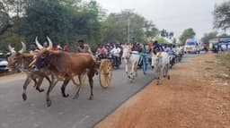 சிவராத்திரி விழாவை முன்னிட்டு நடைபெற்ற மாட்டுவண்டி பந்தயத்தில் 49 ஜோடி மாடுகள் பங்கேற்பு.