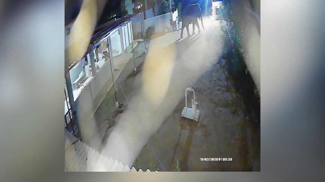 வீட்டுக்குள் நுழைய முயன்ற காட்டு யானை-கோவை