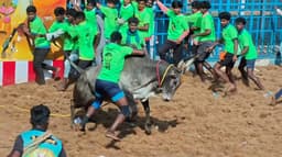 கலைஞர் நூற்றாண்டு ஏறுதழுவுதல் அரங்கத்தில் ஜல்லிக்கட்டு போட்டி