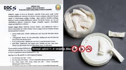 அங்கீகரிக்கப்படாத நிக்கோடின் பவுச்சுகளை விற்றால் நடவடிக்கை