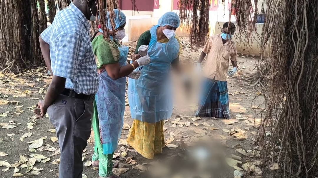 திடீரென உயிரிழந்து கீழே விழுந்து கிடந்த 13 கொக்குகள்