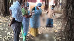 திடீரென உயிரிழந்து கீழே விழுந்து கிடந்த 13 கொக்குகள்