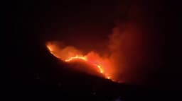 ஏலகிரி மலையில் பற்றி எரியும் தீயால் மரம், செடிகள் கருகின