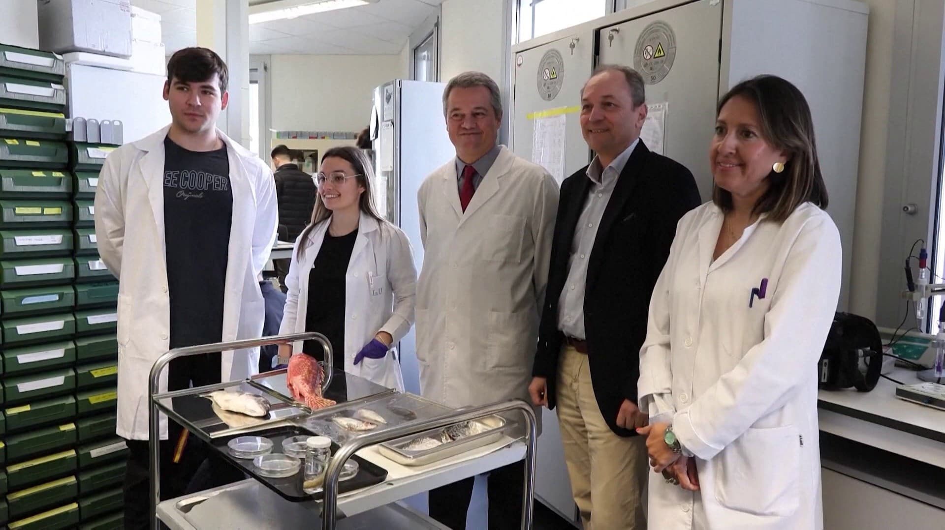 மீன் செதில்களில் இருந்து செயற்கை கார்னியா உருவாக்கம்.. ஸ்பெயின் நாட்டின் ஆய்வாளர்கள் புதிய சாதனை..!