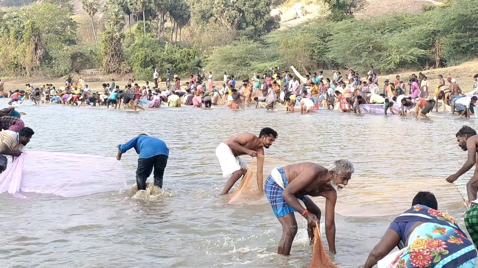 கண்மாயில் நீர் வற்றத் தொடங்கியதால் மீன்பிடித் திருவிழா