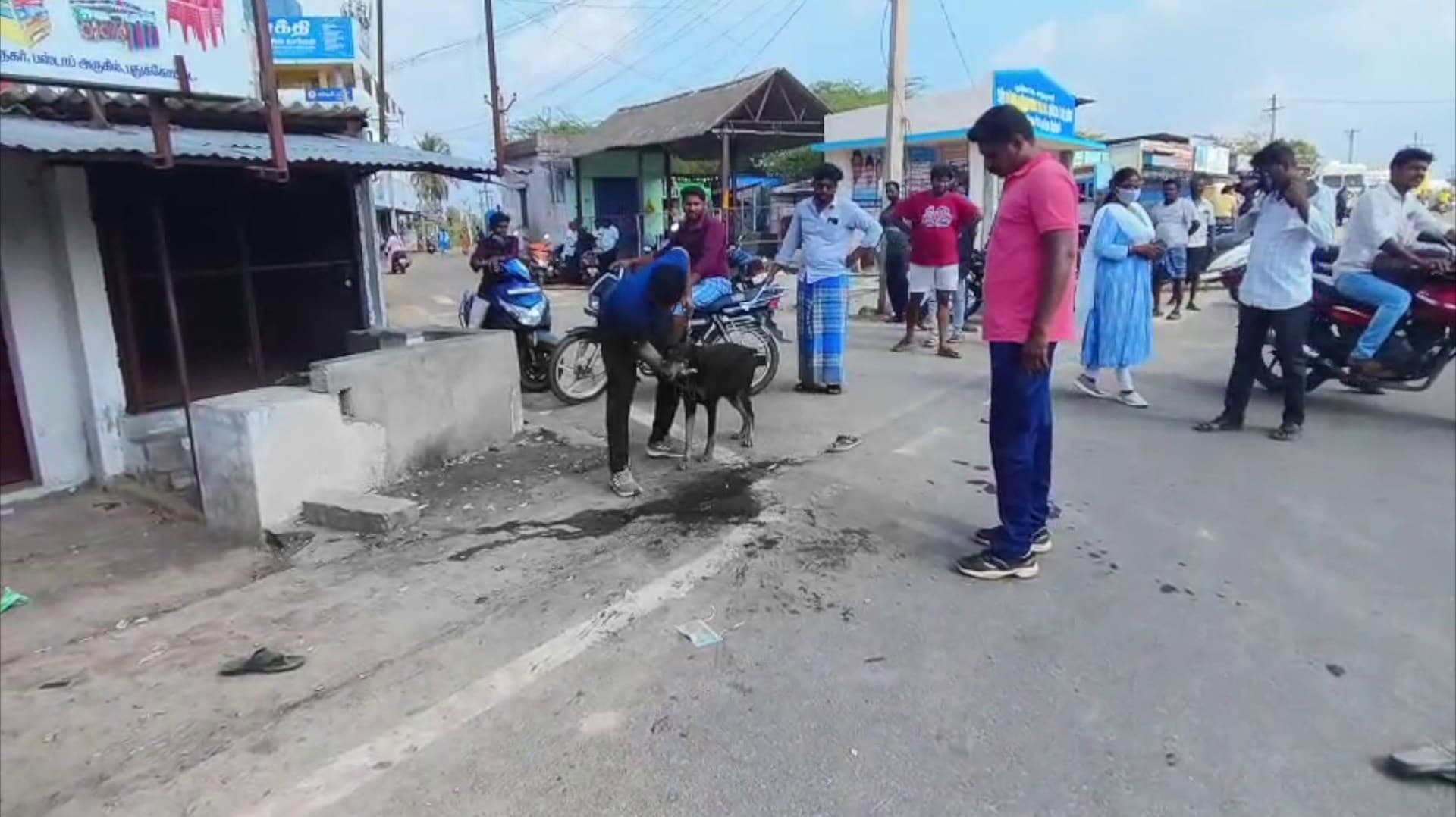 பட்டப்பகலில் ஓட ஓட விரட்டி ரௌடி வெட்டி படுகொலை