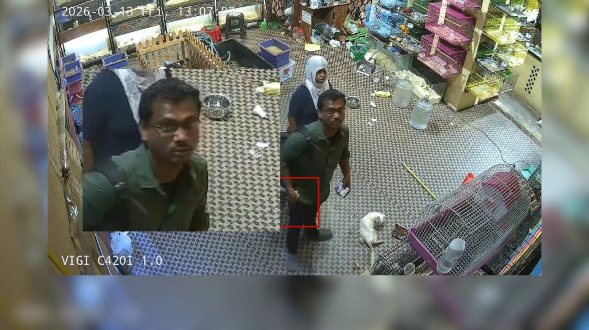 செல்லப்பிராணிகள் விற்பனையகத்தில் ரூ.1.20 லட்சம் மதிப்பிலான அணில்கள் திருட்டு