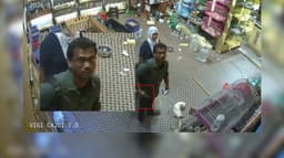 செல்லப்பிராணிகள் விற்பனையகத்தில் ரூ.1.20 லட்சம் மதிப்பிலான அணில்கள் திருட்டு