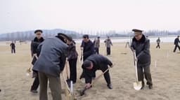 மரக்கன்றுகள் நட்ட வடகொரியா அதிபர் கிம் ஜோங்