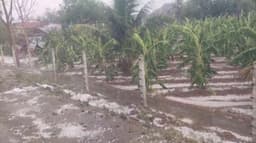 கோடைகாலத்தில் திடீரென பெய்த ஆலங்கட்டி மழை